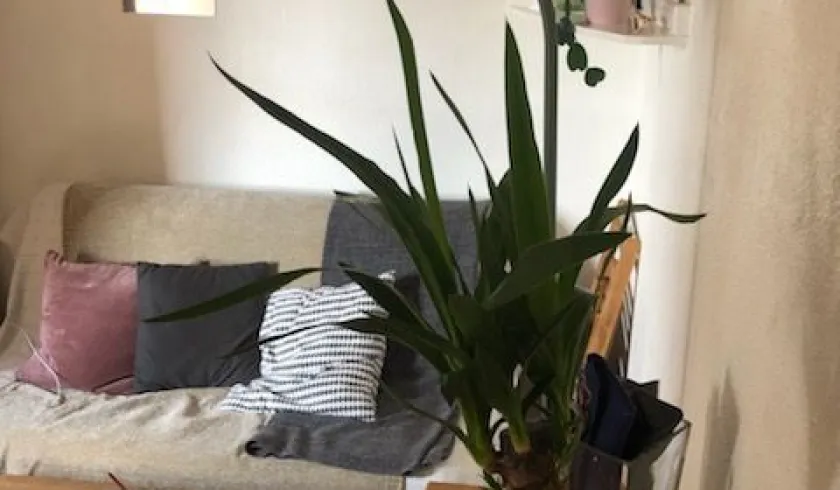 Location Bordeaux Appartement 693fc1bda97c1