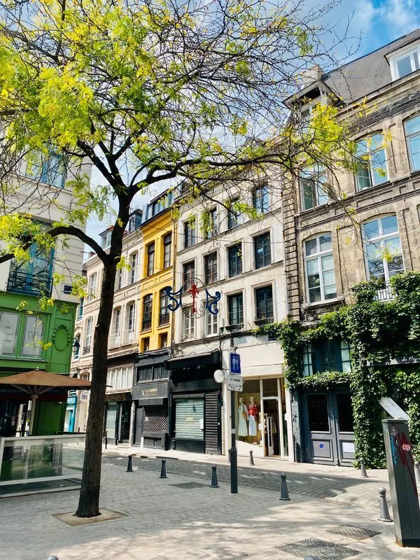 Location Lille Appartement 693fceffa5ce