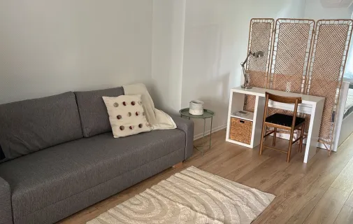 Location Lille Appartement 694087d48b18