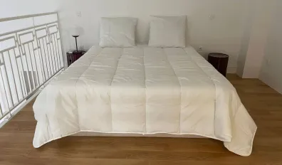 miniatureLocation Lyon Appartement 69412ba994092