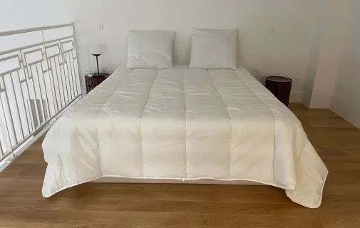 Location Lyon Appartement 69412ba99409