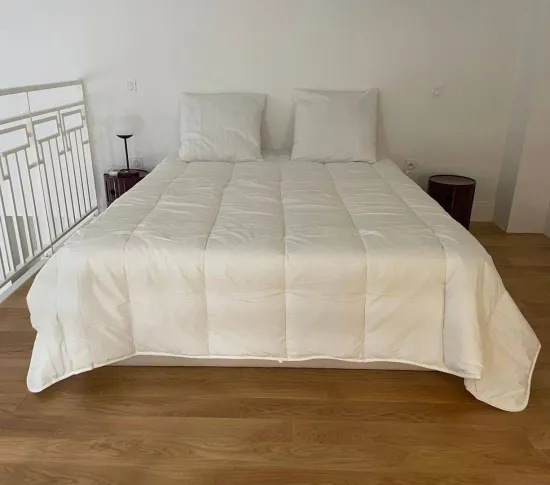 Location Lyon Appartement 69412ba994092