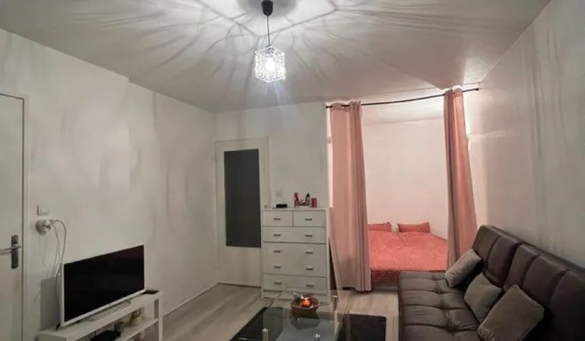 Location Nancy Appartement 694137b1f0bb1