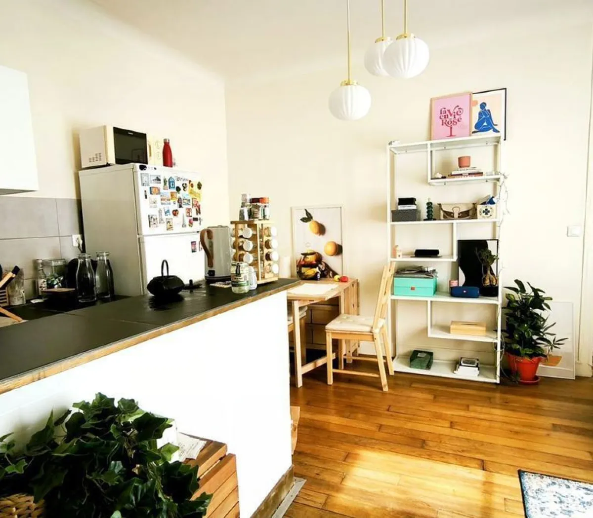 Location Paris Appartement 6943456a17da