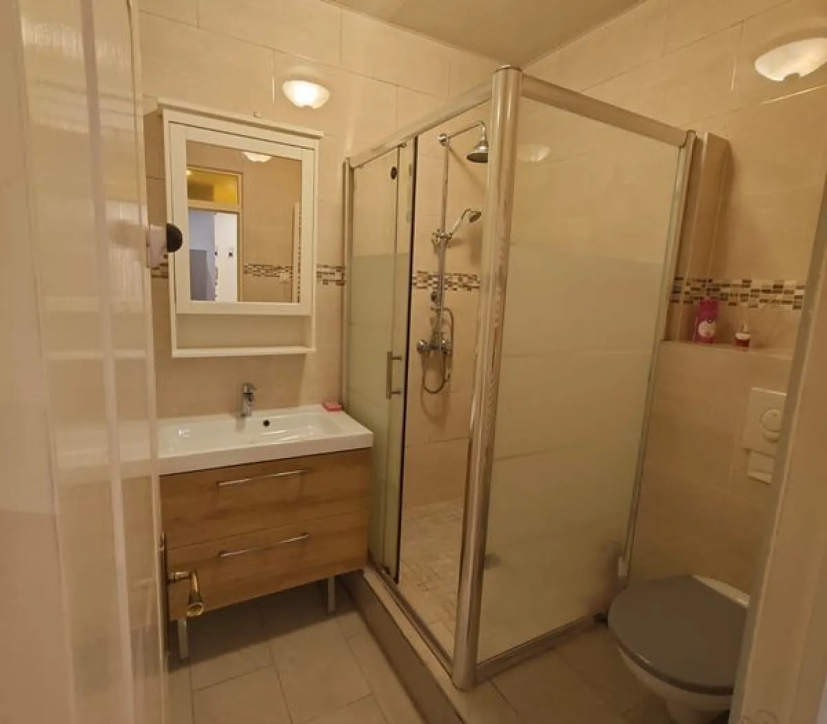 Location Paris Appartement 69453551d542