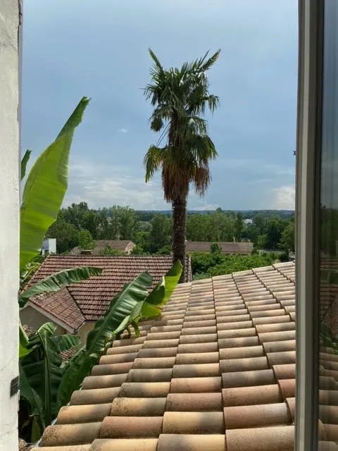 Location Agen Appartement 69480a76de914