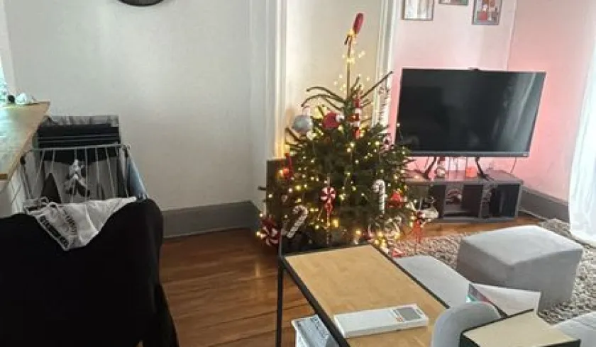 Location Nancy Appartement 694a6d46a4e11