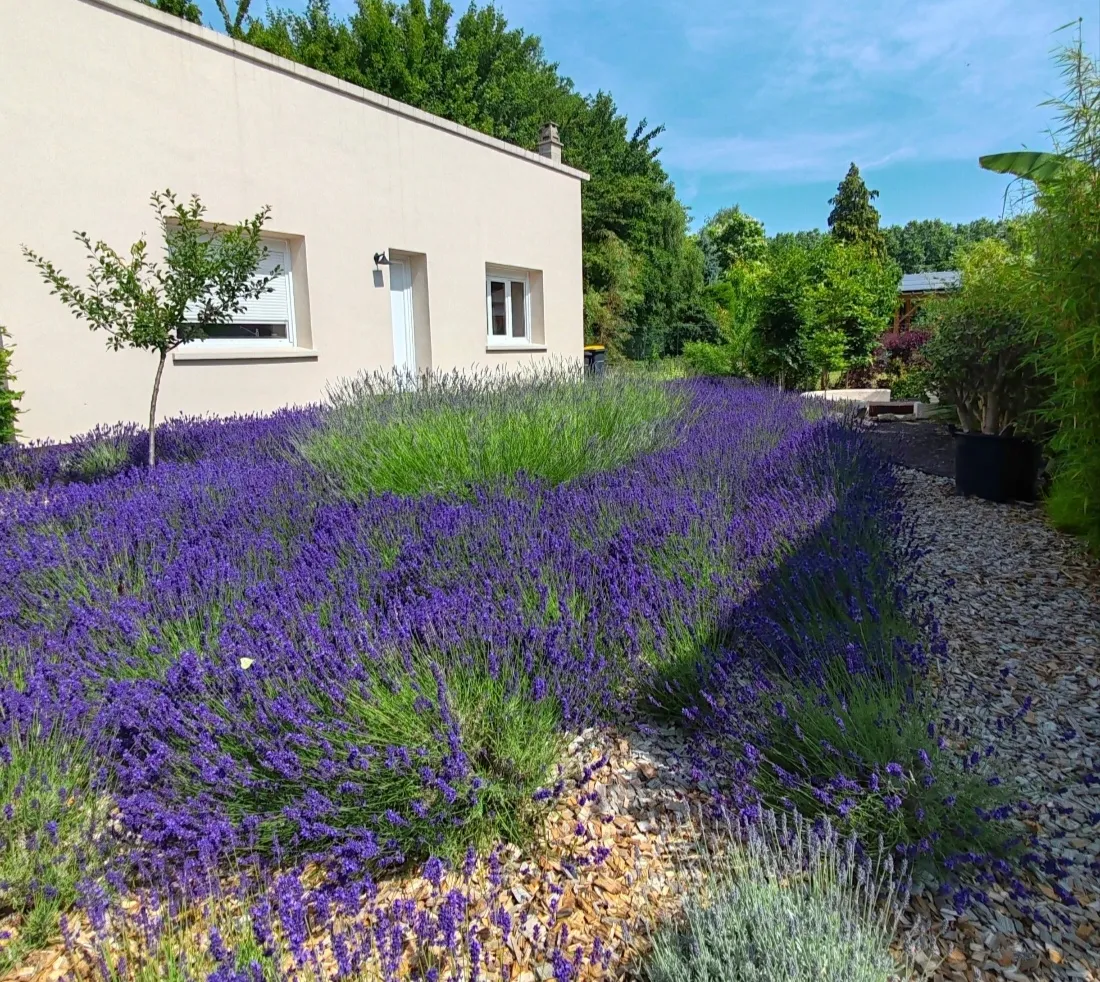 Location Gien Maison 694e927cdef41