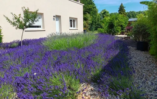 Location Gien Maison 694e927cdef4