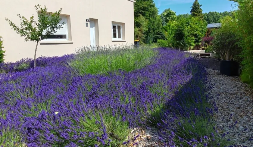 Location Gien Maison 694e927cdef41