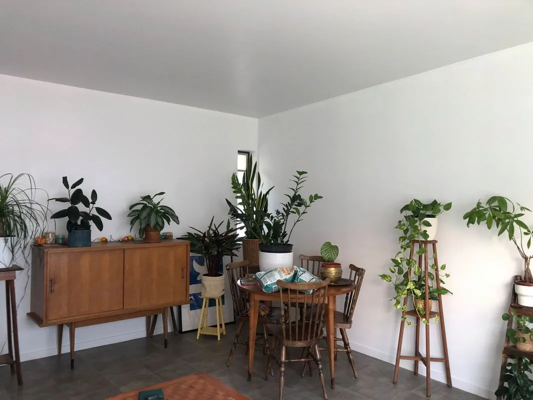 Location Gentilly Appartement 695140d582231