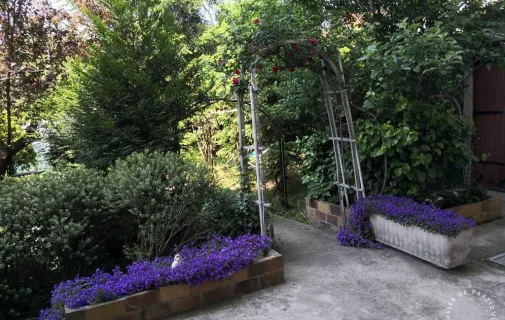 Location Joinville-le-Pont Chambre 695140e48066