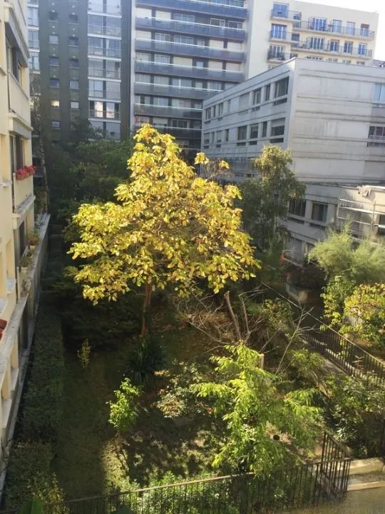 Location Paris Appartement 695254218ac5