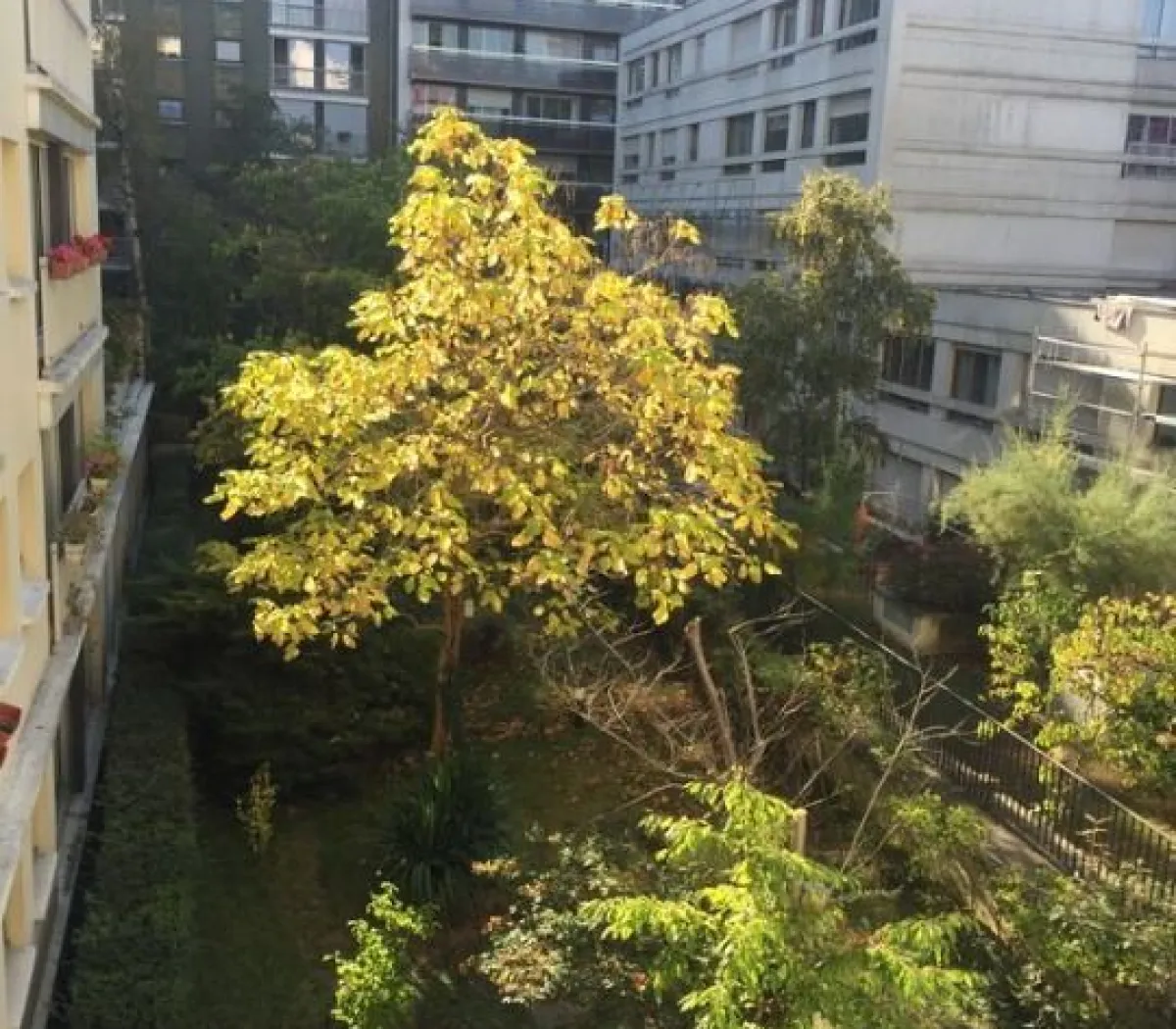 Location Paris Appartement 695254218ac5