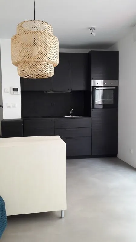 Location Lyon Appartement 695504f552423