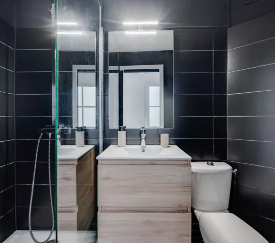 Location Toulouse Appartement 6956ab344bc83