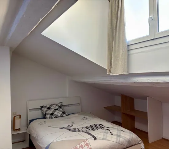 Location Lyon Appartement 6956ac7d20ac3