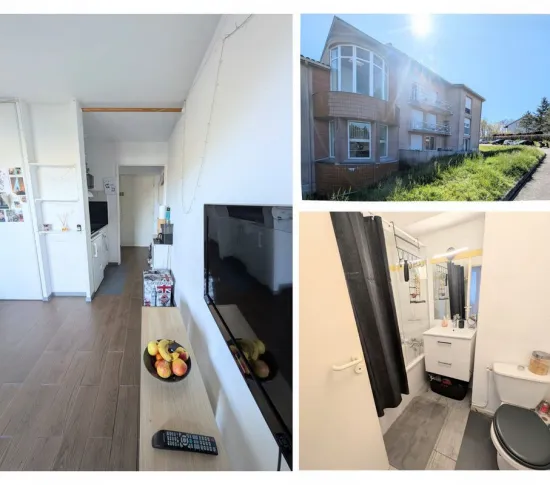 Location Toulouse Appartement 695a4d9869872