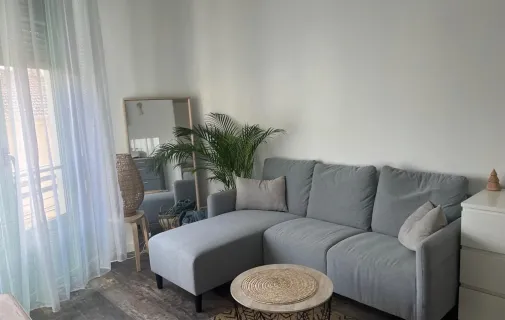 Location Nice Appartement 695a9d01e586