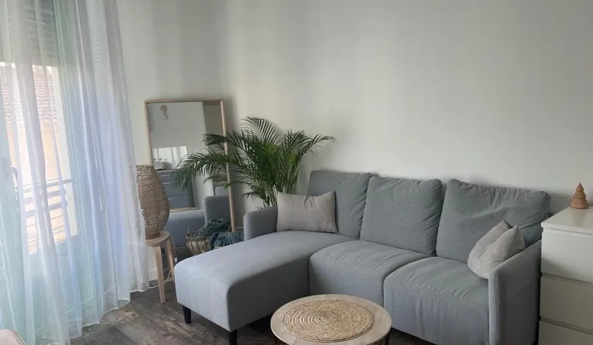 Location Nice Appartement 695a9d01e5861