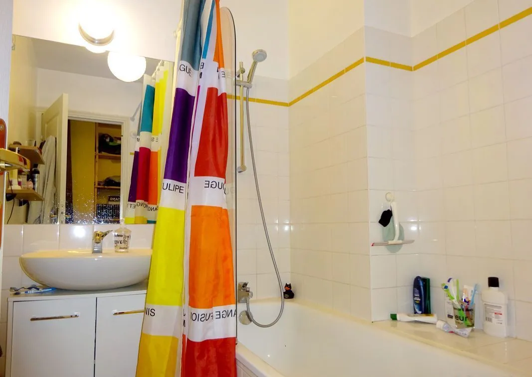 Location Lyon Appartement 695aa6d459f13