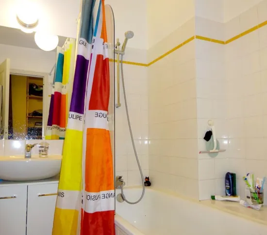 Location Lyon Appartement 695aa6d459f13