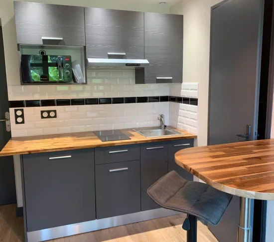 Location Villeurbanne Appartement 695b78ea81882