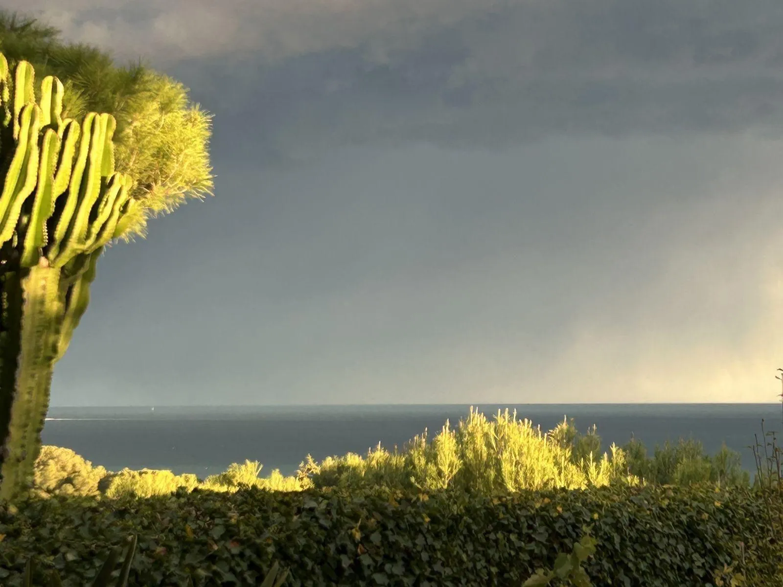 Location Villeneuve-Loubet Appartement 695be710e5883