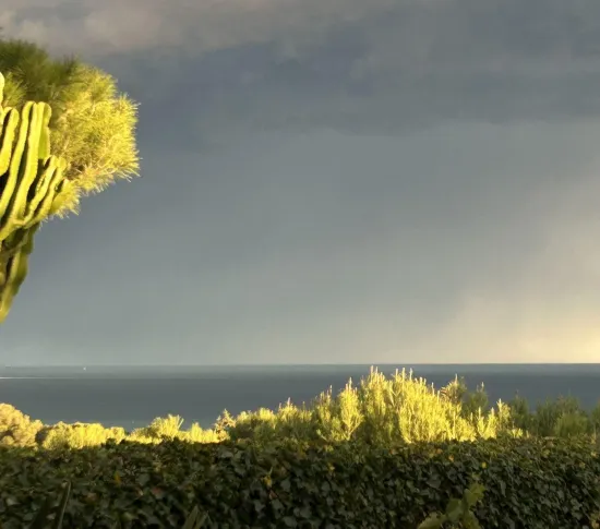 Location Villeneuve-Loubet Appartement 695be710e5883