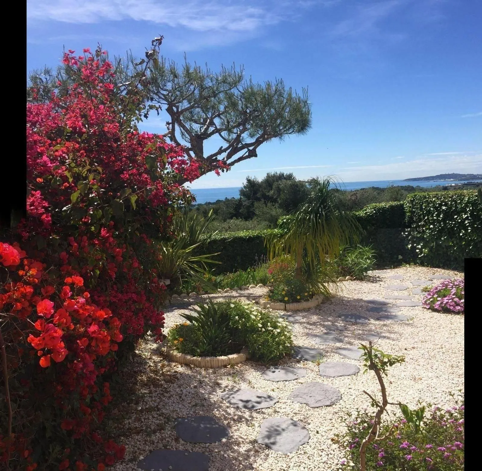 Location Villeneuve-Loubet Appartement 695be710e5881