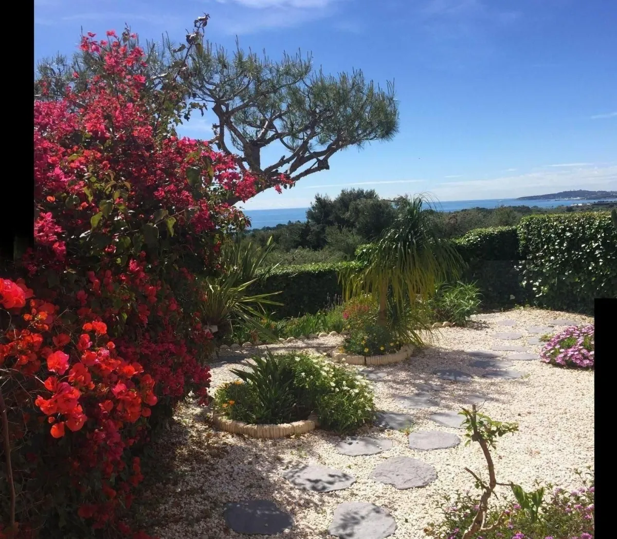 Location Villeneuve-Loubet Appartement 695be710e588