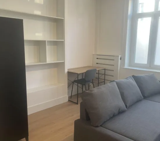 Location Lille Appartement 695cdfc56ed92