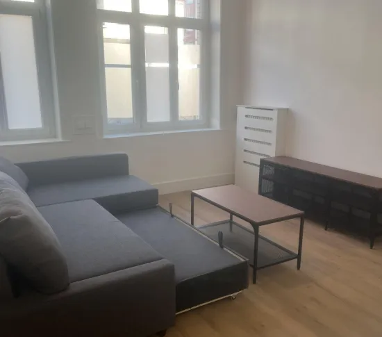 Location Lille Appartement 695cdfc56ed93