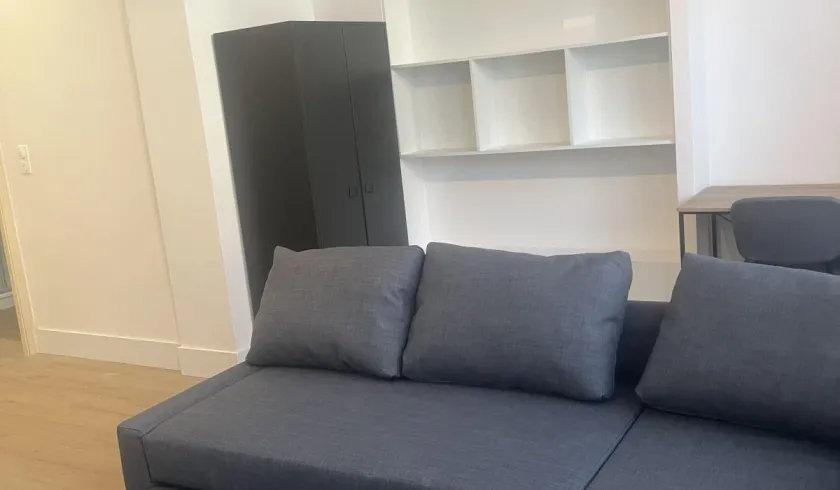 Location Lille Appartement 695cdfc56ed91