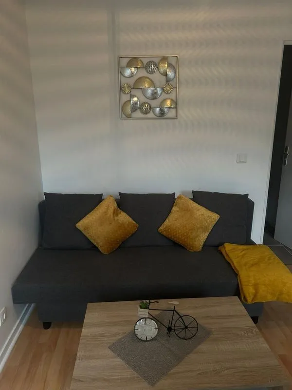 Location Paris Appartement 695ce52b4f112