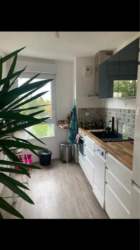 Location Rennes Appartement 695d2ee160032