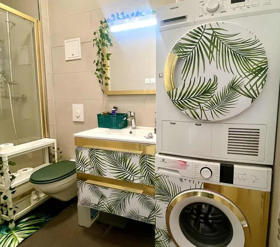 Location Thionville Appartement 695d5bc06bc23