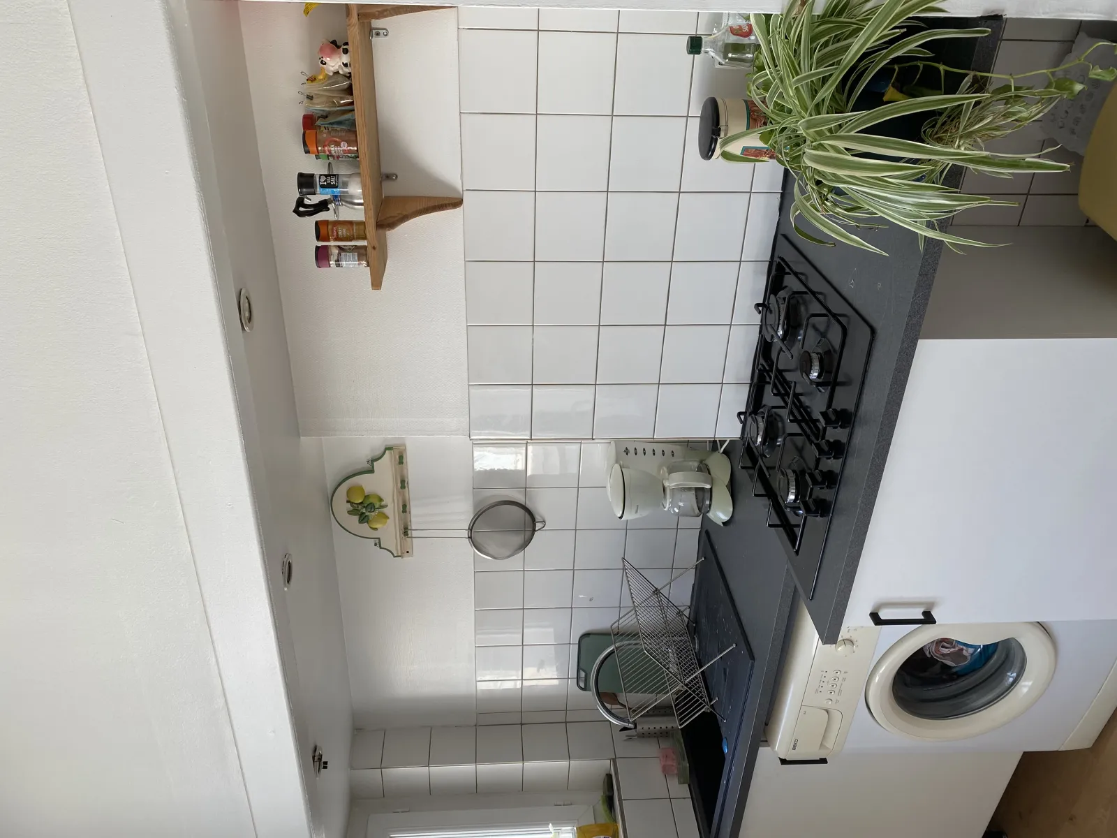 Location Saint-Étienne Appartement 695e838354671