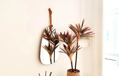 Location Reims Appartement 69611b9db9f8