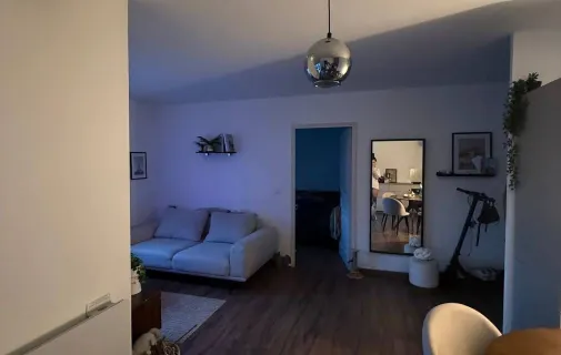 Location Villeurbanne Appartement 6964c4c3e442