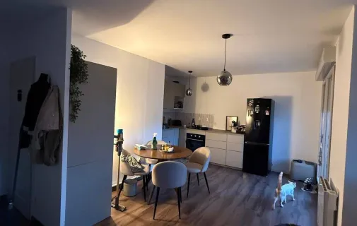 Location Villeurbanne Appartement 6964c4c3e442