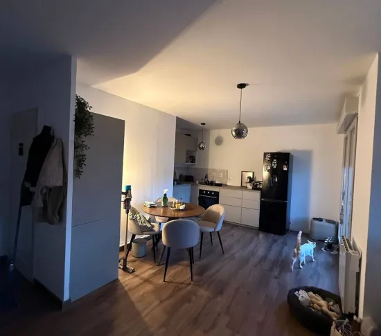 Location Villeurbanne Appartement 6964c4c3e4423