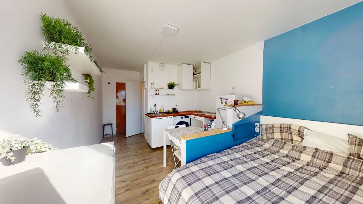 Location Strasbourg Appartement 6964e641daef2