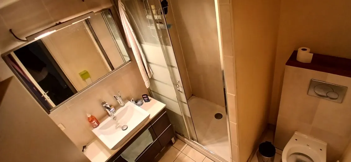 Location Villeurbanne Appartement 69651792b7994