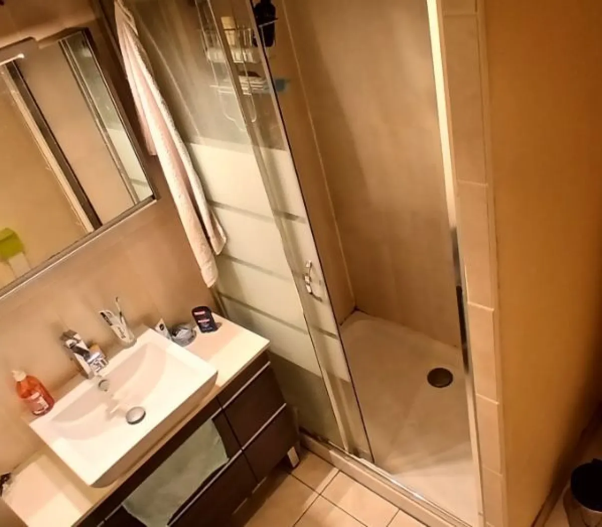 Location Villeurbanne Appartement 69651792b799