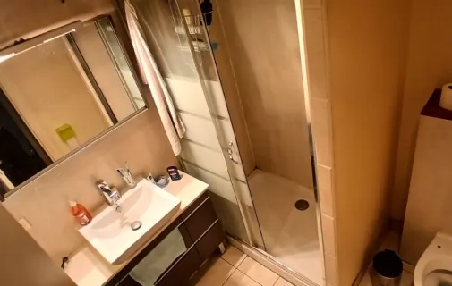 Location Villeurbanne Appartement 69651792b799