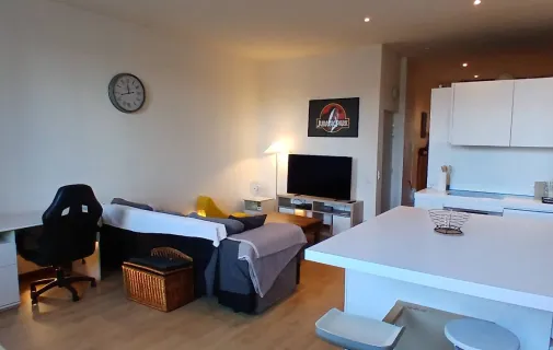 Location Villeurbanne Appartement 69651792b799