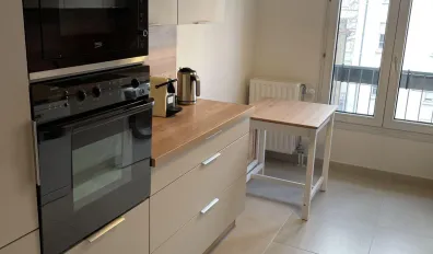 miniatureLocation Lyon Appartement 69663d9514552