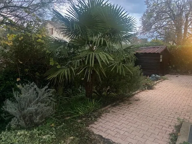 Location Saint-Genis-les-Ollières Maison 6966448d2b626