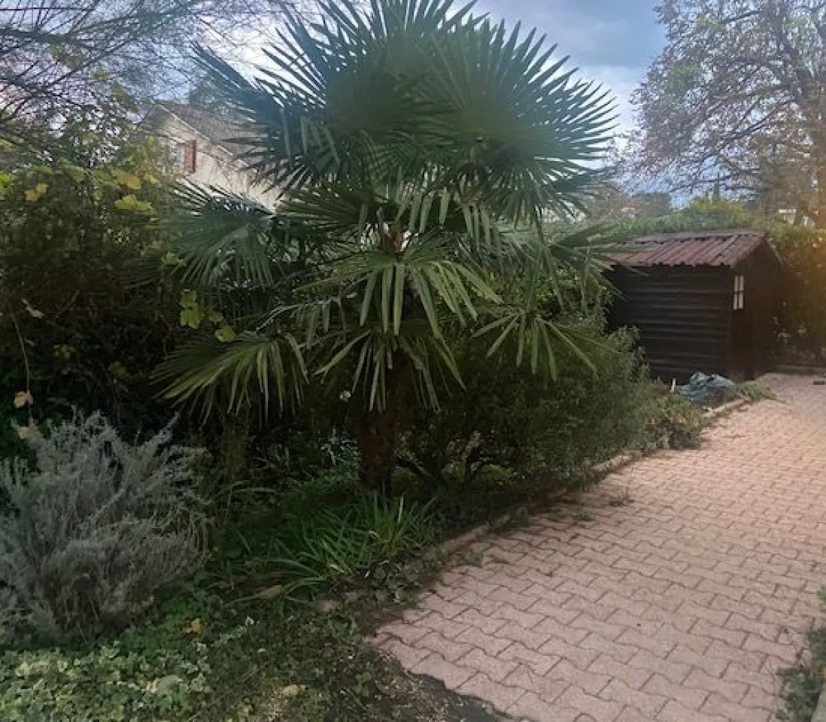 Location Saint-Genis-les-Ollières Maison 6966448d2b62